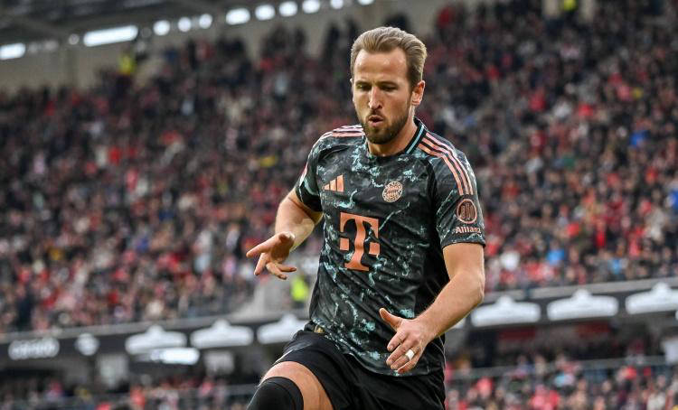 胆码选择留 胆码选择留